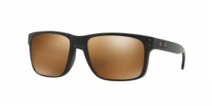 Oakley Holbrook OO9102 910202 Sunglasses | Visual-Click